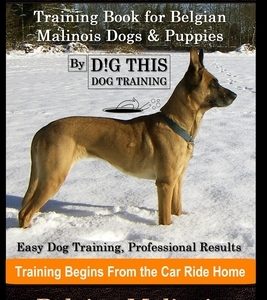 Belgian Malinois Training Book for Belgian Malinois Dogs & Puppies By D!G THIS DOG Training, Easy Dog Training, Professional Results, Training Begins