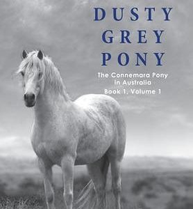 A Dusty Grey Pony Book 1 Volume 1