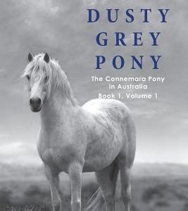 A Dusty Grey Pony Book 1 Volume 1