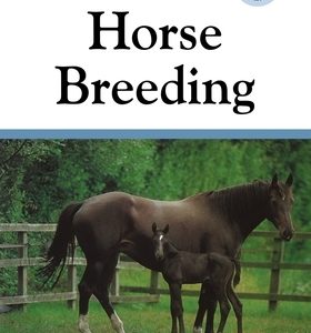 Horse Breeding