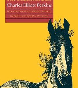 The Pinto Horse and the Phantom Bull