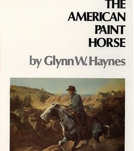 American Paint Horse
