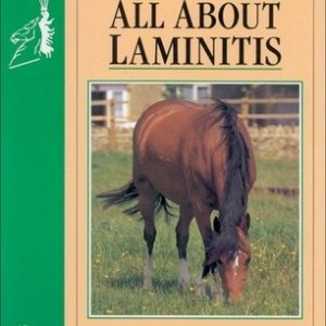 All about Laminitis No 4