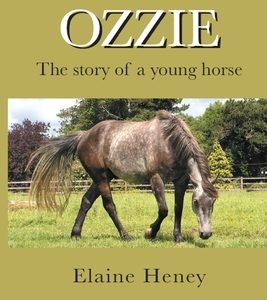 Ozzie - The story of a young horse
