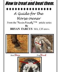 Common Hoof Problems, how to treat & beat them: A guide for the horse owner.