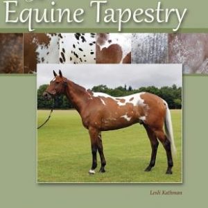 The Equine Tapestry: An Introduction to Colors and Patterns