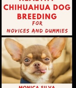 Healthy Chihuahua Dog Breeding for novices and dummies