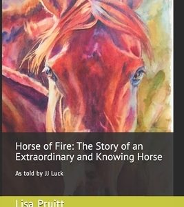 Horse of Fire: The Story of an Extraordinary and Knowing Horse: As told by JJ Luck