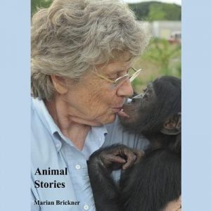 Animal Stories