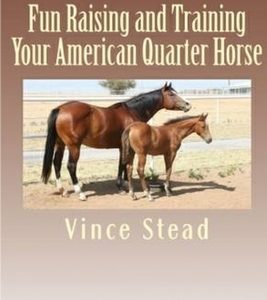 Fun Raising and Training Your American Quarter Horse