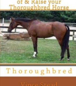 How to Take Care of & Raise your Thoroughbred Horse