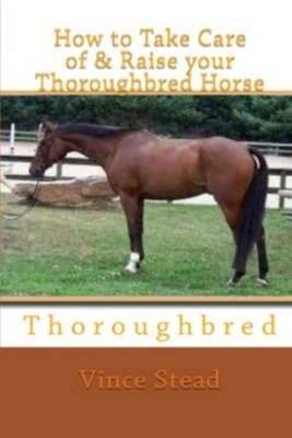 How to Take Care of & Raise your Thoroughbred Horse