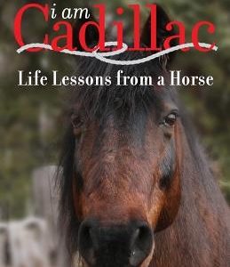 I am Cadillac: Life Lessons from a Horse