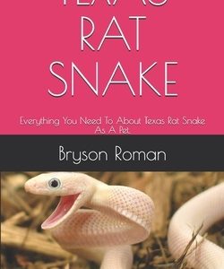 Texas Rat Snake: Everything You Need To About Texas Rat Snake As A Pet.