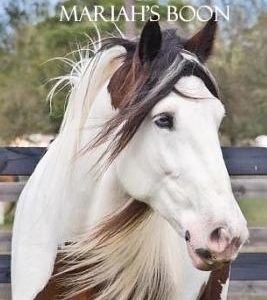 The Miraculous Life of Mariah's Boon