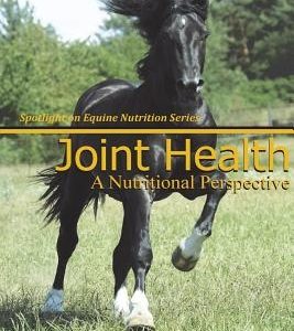 Joint Health: A Nutritional Perspective