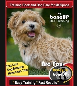 Maltipoo Training Book and Dog Care for Maltipoos, By BoneUP DOG Training, Dog Care, Dog Behavior, Hand Cues Too! Are You Ready to Bone Up? Easy Train