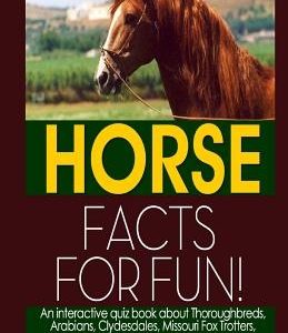 Horse Facts for Fun!