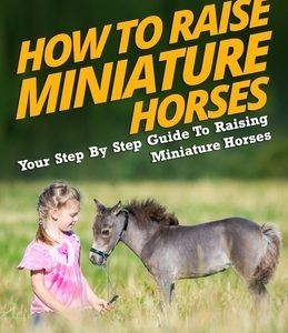 How To Raise Miniature Horses: Your Step-By-Step Guide To Raising Miniature Horses
