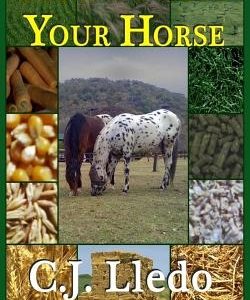 How To Feed Your Horse