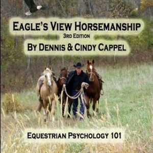 Eagle's View Horsemanship: Equestrian Psychology 101