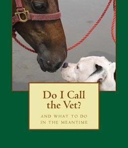 Do I Call the Vet?: And what to do in the meantime