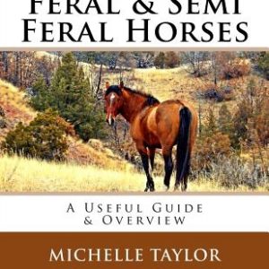 Feral & Semi Feral Horses: A Useful Guide & Overview