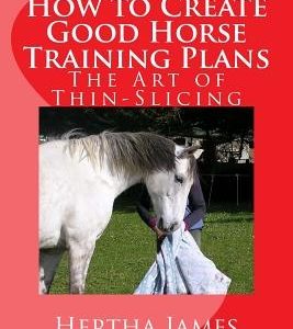 How to Create Good Horse Training Plans: The Art of Thin-Slicing