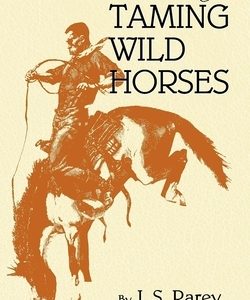 The Modern Art of Taming Wild Horses