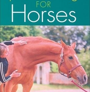 Sports Massage for Horses