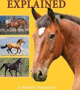 Horse Color Explained: A Breeder's Perspective