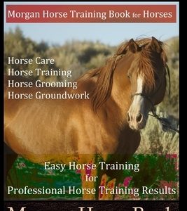 Morgan Horse, Morgan Horse Training Book for Horses, Horse Care, Horse Training, Horse Grooming, Horse Groundwork, Easy Horse Training for Professiona