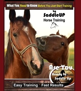 Horse Training for Beginners, What You Need to Know - Before You Just Start Training By SaddleUP Horse Training, Are You Ready to Saddle Up? Easy Trai