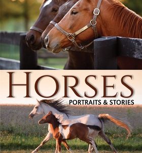 Horses: Portraits & Stories