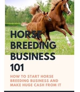 Horse Breeding Business 101: How to start horse breeding business and make huge Cash from it