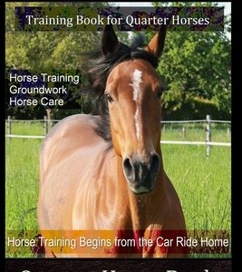 Quarter Horse Training Book Quarter Horses, Horse Training, Groundwork, Horse Care, Horse Training Begins From the Trailer Ride Home, Quarter Horse Bo