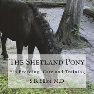 The Shetland Pony: His Breeding, Care and Training