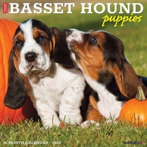 Just Basset Hound Puppies 2023 Wall Calendar