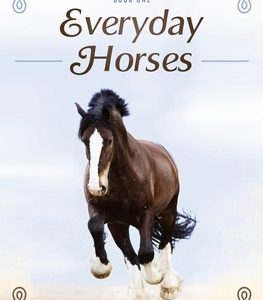 Everyday Horses