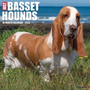 Just Basset Hounds 2023 Wall Calendar