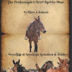 The Performance Bred Saddle Mule: Breeding of American Jackstock & Jennies