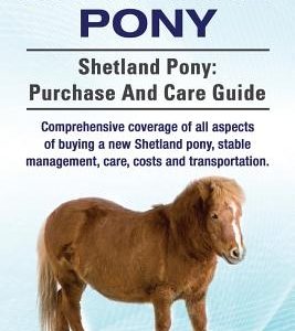 Shetland Pony. Shetland Pony: purchase and care guide. Comprehensive coverage of all aspects of buying a new Shetland pony, stable management, care,