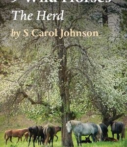 9 Wild Horses: The Herd