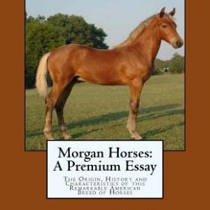 Morgan Horses: A Premium Essay: The Origin, History and Characteristics of this Remarkable American Breed of Horses
