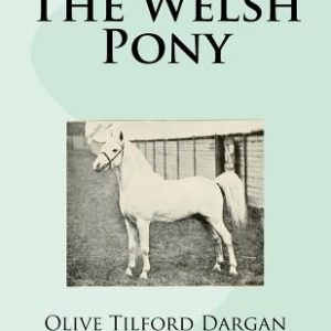 The Welsh Pony