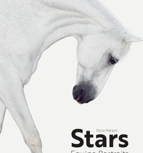 Stars: Equine Portraits