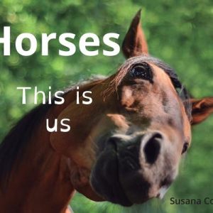 Horses: This is us