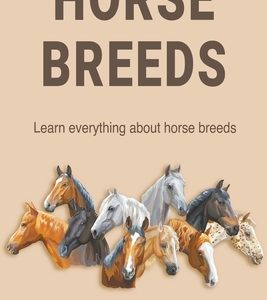 Horse Breeds