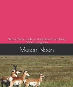 Pronghorn: Step By Step Guide To Understand Everything About Pronghorn