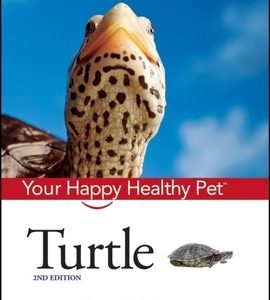 Turtle: Your Happy Healthy Pet